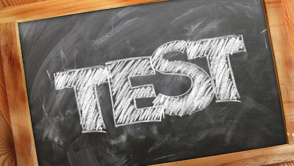 VPI - Verifica della Preparazione Iniziale